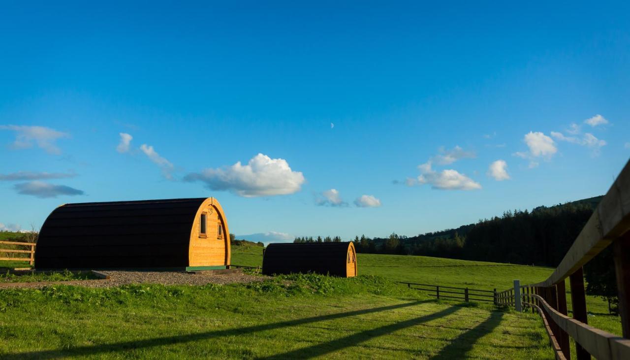 Lodge Glamping