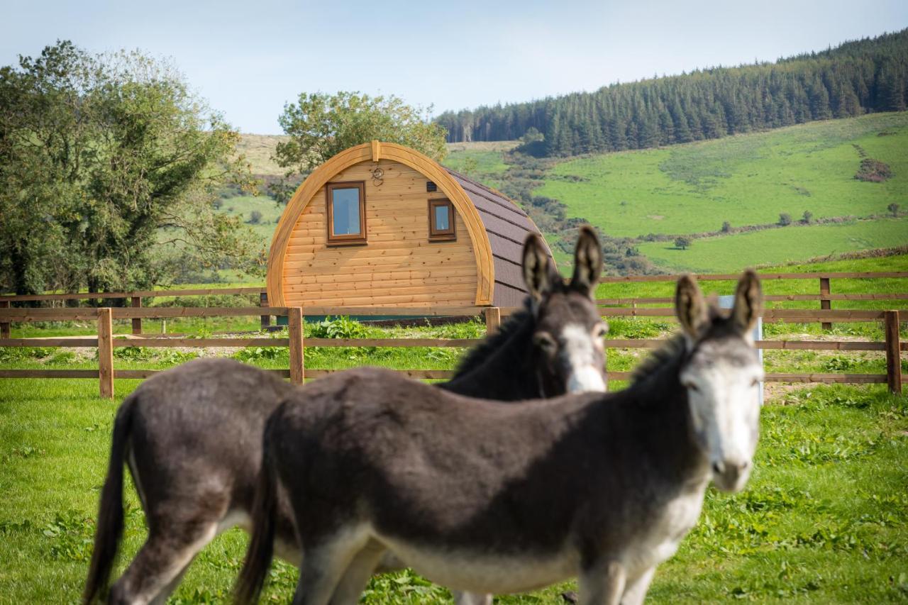 Lodge Glamping Kilbane